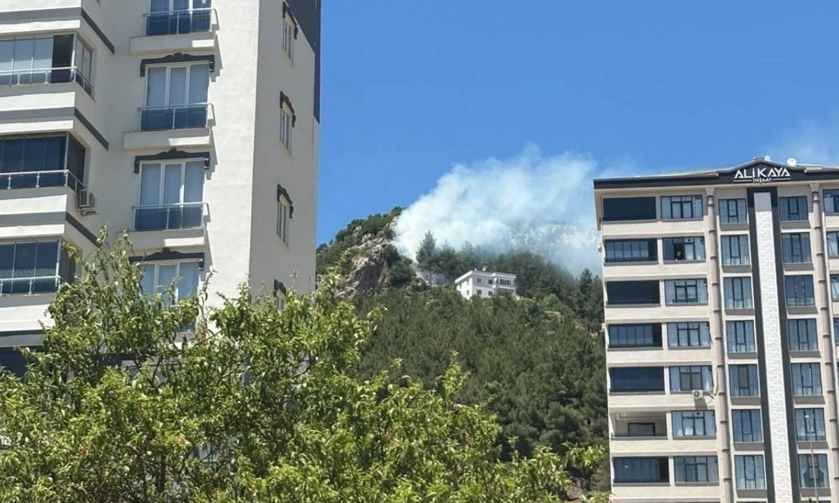Ahırdağ&rsquo;daki Orman Yangını Kısa S&uuml;rede Kontrol Altına Alındı