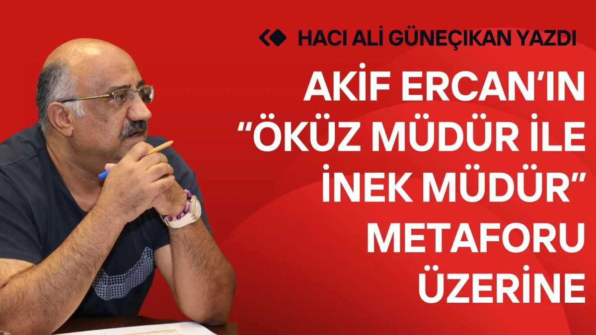 Akif Ercan&rsquo;ın &ldquo;&Ouml;k&uuml;z M&uuml;d&uuml;r ile İnek M&uuml;d&uuml;r&rdquo; metaforu &uuml;zerine