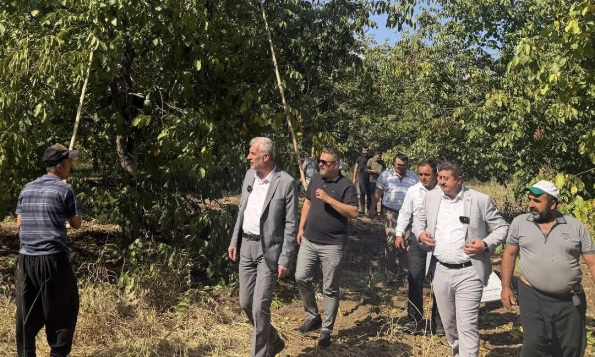 Anahtar Parti&rsquo;den Bertiz &Ccedil;ıkarması: Sivri &Ccedil;ift&ccedil;inin Sorunlarını Yerinde Dinledi