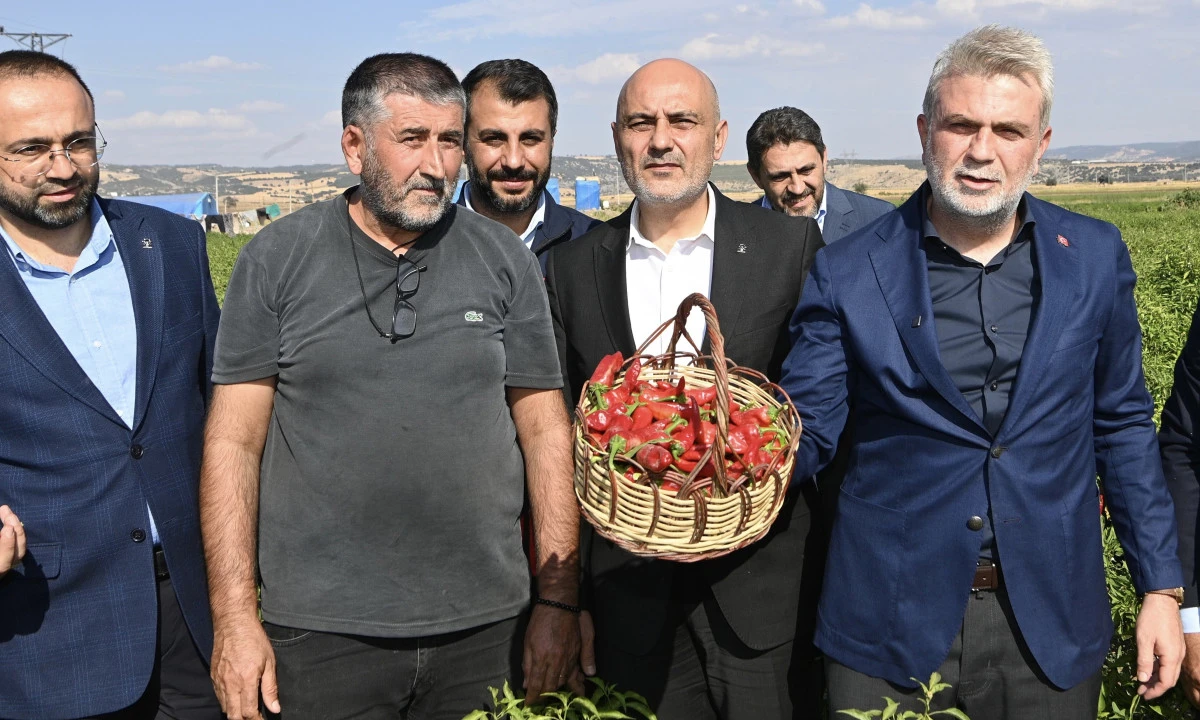 Başkan G&ouml;rgel; &ldquo;D&uuml;nya&rsquo;nın En G&uuml;zel Biberi, Maraş Biberi Hasadımız Hayırlı ve Bereketli Olsun&rdquo;