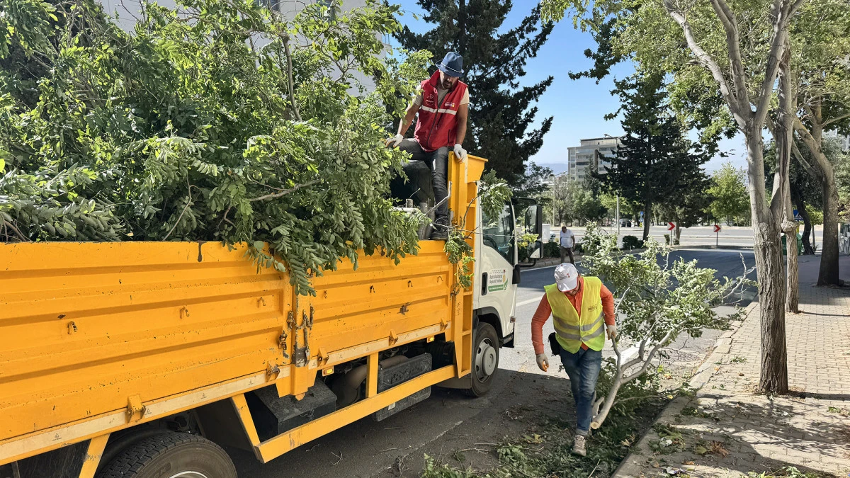 Büyükşehir Belediyesi, Fırtınanın Hasarlarını Ortadan Kaldırıyor