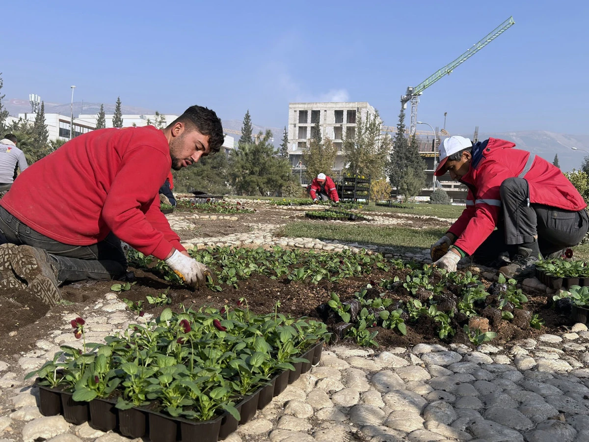 Büyükşehir Kavşakları 500 Bin Çiçekle Renklendiriyor