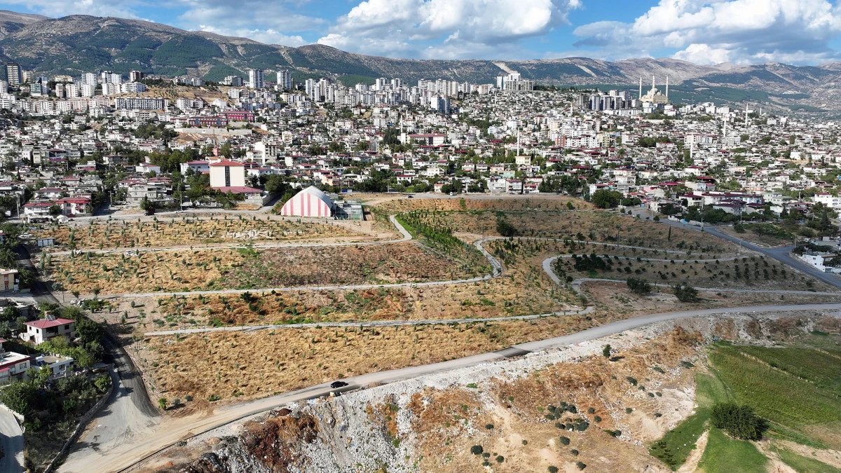 Büyükşehir’den Türkiye’ye Örnek Olacak Karbon Yutak Alanı Projesi