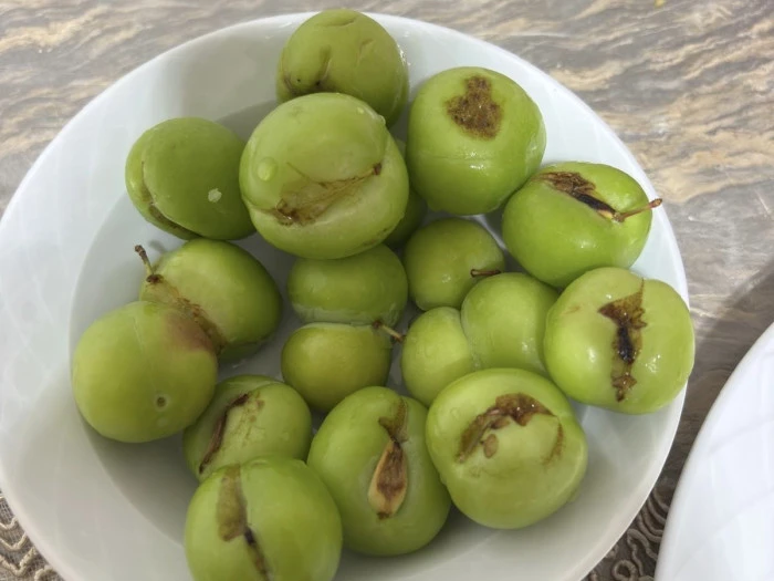 Can Eriği: Binevler Pazarı’nda Önü Başka, Arkası Başka! Maraş’ta Denetim Nerede?