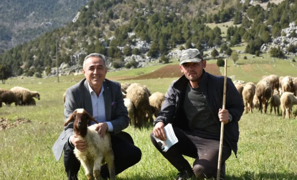 DEVA Partili Karatutlu: “Deprem Bölgesinde Hayvancılık Alarm Veriyor”