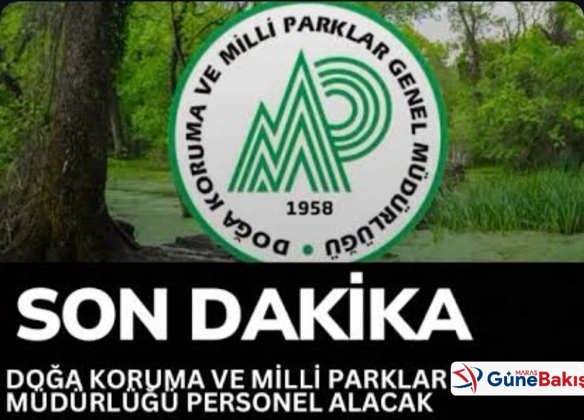 Doğa Koruma ve Milli Parklar Genel Müdürlüğü 240 Daimi Personel Alacak