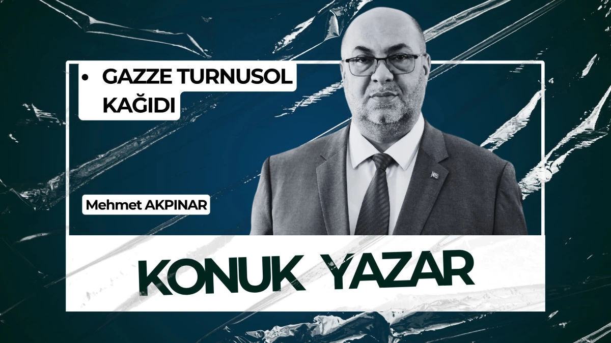 GAZZE TURNUSOL KAĞIDI