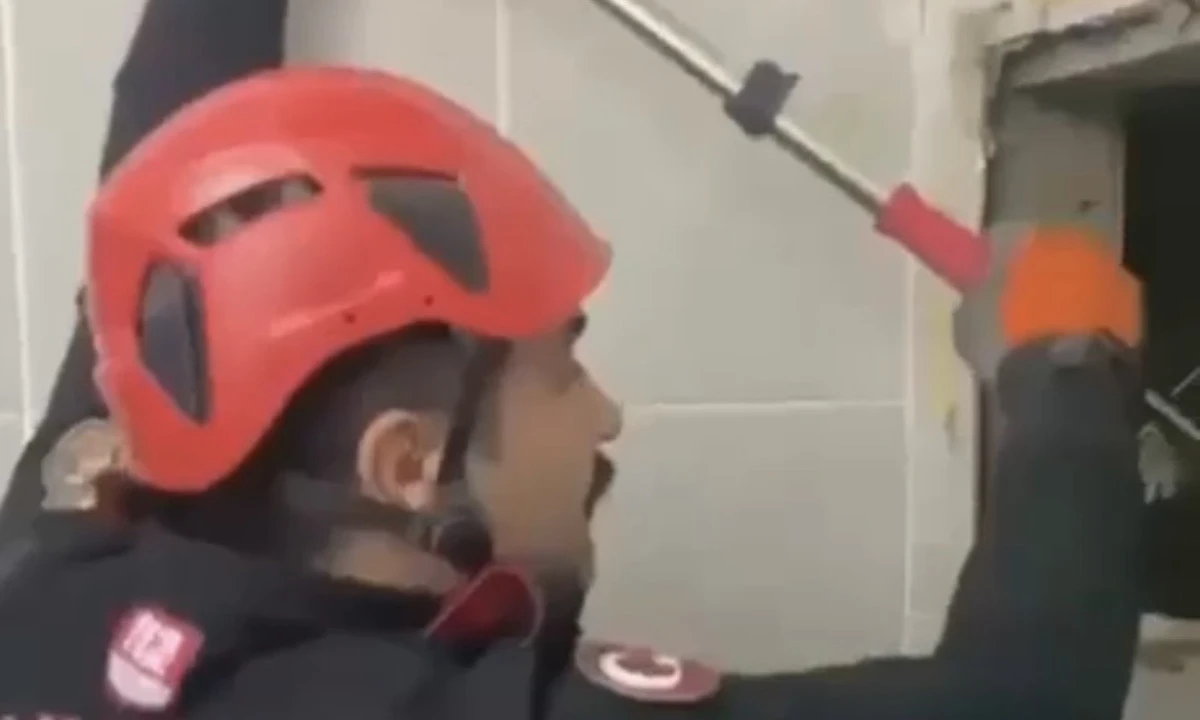 Havalandırma boşluğuna d&uuml;şen yavru kediler kurtarıldı