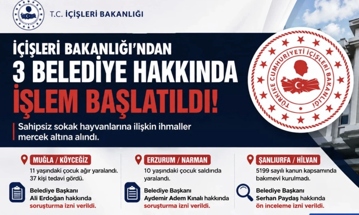 İ&ccedil;işleri Bakanlığı&rsquo;ndan Sahipsiz Sokak Hayvanlarıyla İlgili &Uuml;&ccedil; Belediyeye Soruşturma İzni