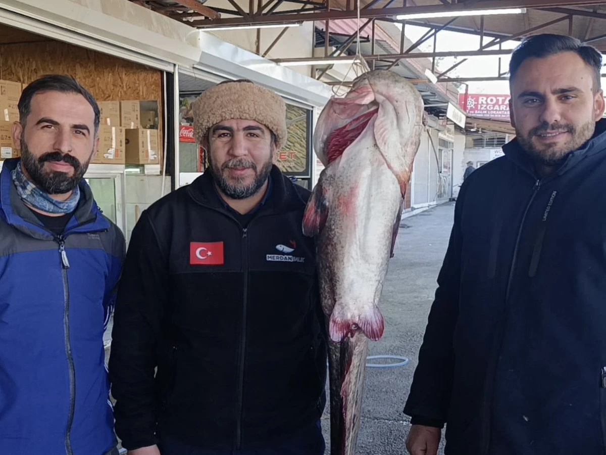 Kahramanmaraş&rsquo;ın Tatlı Sularından Dev Lezzet: Menzelet&rsquo;in Yayın Balığı