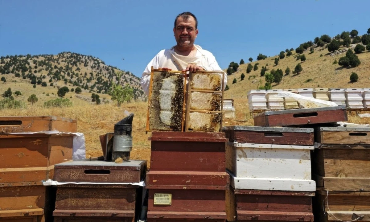 Kahramanmaraş&rsquo;ta 2026 Bal Fiyatları Belli Oldu: &Uuml;reticilerden Karara Tam Destek