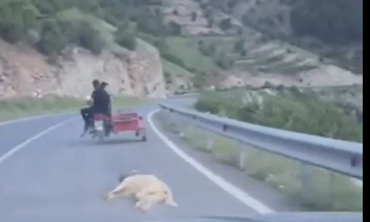 Kahramanmaraş’ta hayvana vahşet: Köpeği motosikletle sürükledi