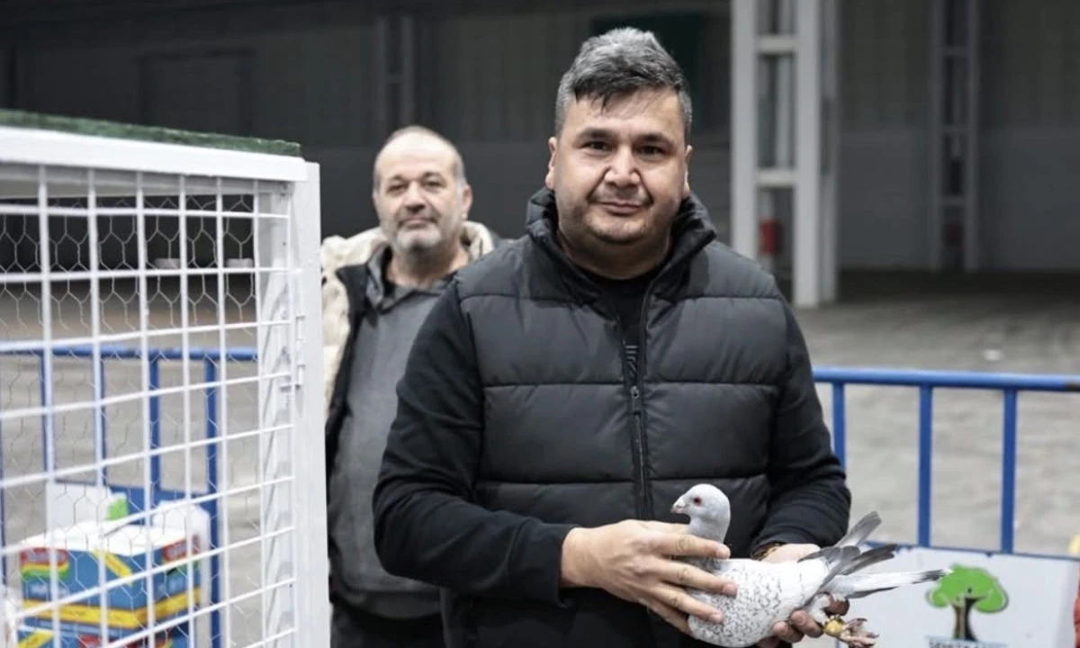 Kahramanmaraş&rsquo;ta Memurluğu Bırakıp G&uuml;vercin Yetiştiricisi Oldu