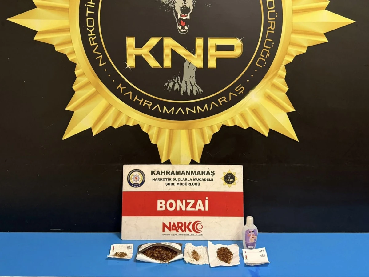 Kahramanmaraş&rsquo;ta Narkotik ve KOM Operasyonları: Bonzai ve Tarihi Eserler Ele Ge&ccedil;irildi