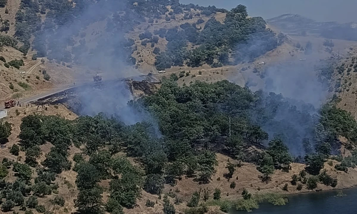 Kahramanmaraş&rsquo;ta Orman Yangını Uyarısı: &ldquo;En K&uuml;&ccedil;&uuml;k İhmal B&uuml;y&uuml;k Felaketlere Yol A&ccedil;abilir&rdquo;