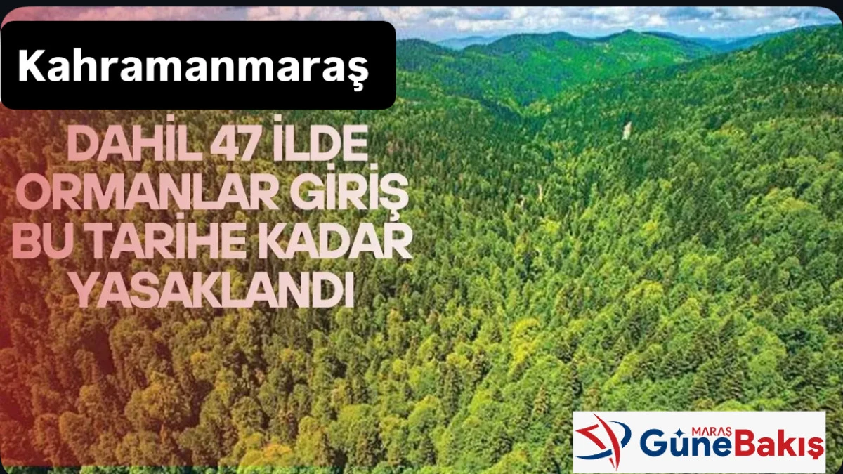 Kahramanmaraş’ta Ormana Girişler Yasaklandı: 31 Ekim’e Kadar Yasak Sürecek