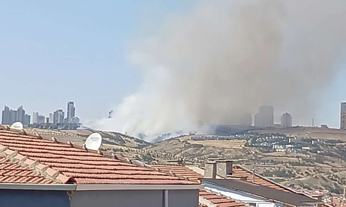 Kahramanmaraş&rsquo;ta Ziraat Yangını Kontrol Altına Alındı