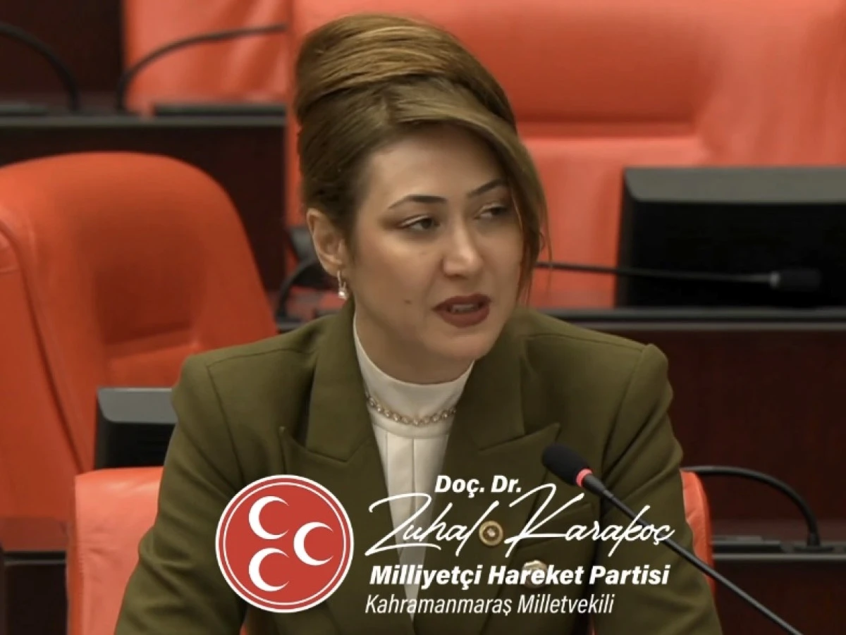 Karako&ccedil;&rsquo;tan Meclis&rsquo;te Net &Ccedil;ağrı: &ldquo;Bu Şartlarda KOSGEB Taksitleri &Ouml;denemez&rdquo;