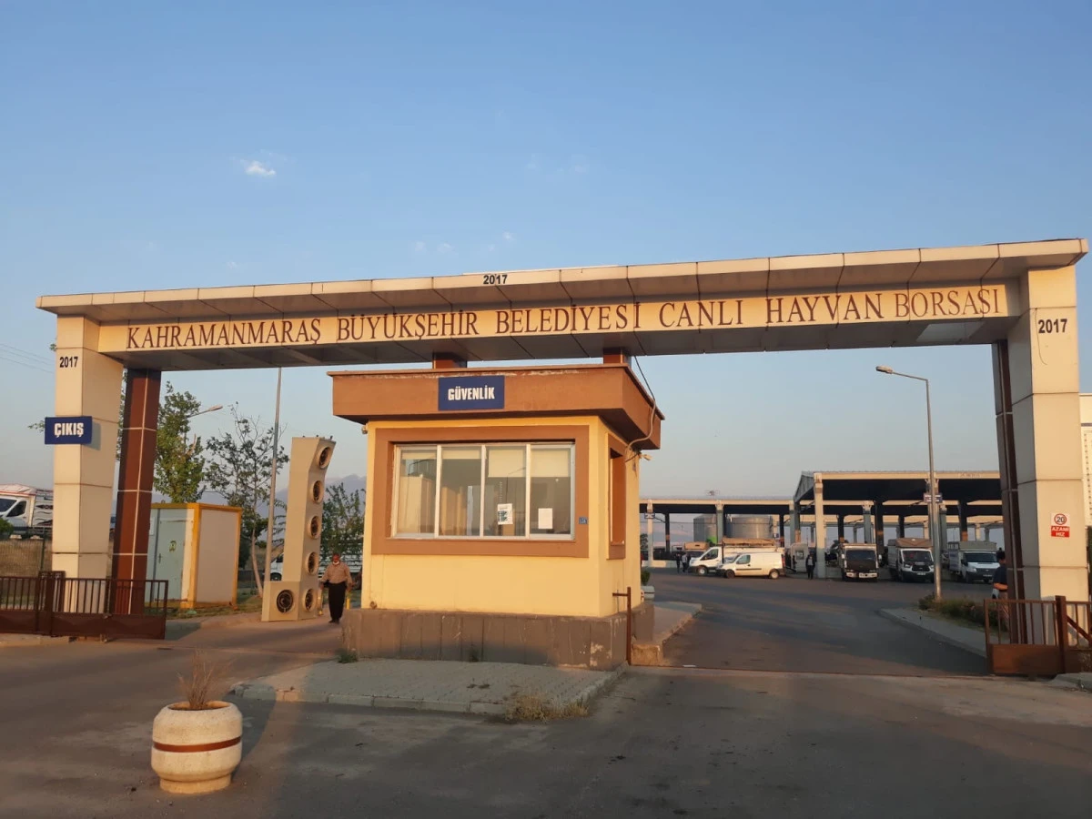 Kurban Satış Yerleri Kiralama İşlemi 15 Mayıs’ta Başlayacak