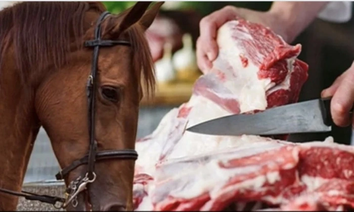 Marketlerde Satılan Dana D&ouml;nerde Tek Tırnaklı Et Tespit Edildi