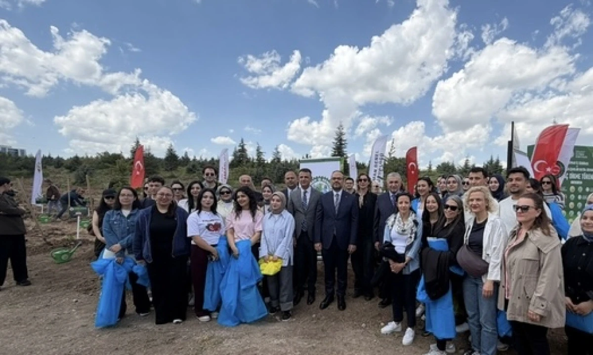 Medya &Ccedil;alışanları İ&ccedil;in Hatıra Ormanı: Emeğe Vefa, Dayanışmaya K&ouml;k