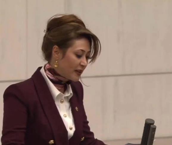 MHP Kahramanmaraş Milletvekili Dora, TBMM Genel Kurulu’nda Türk Ordusu Hakkında Konuştu
