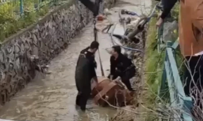 Onikişubat&rsquo;ta Kanala D&uuml;şen İnek İtfaiye Tarafından Kurtarıldı