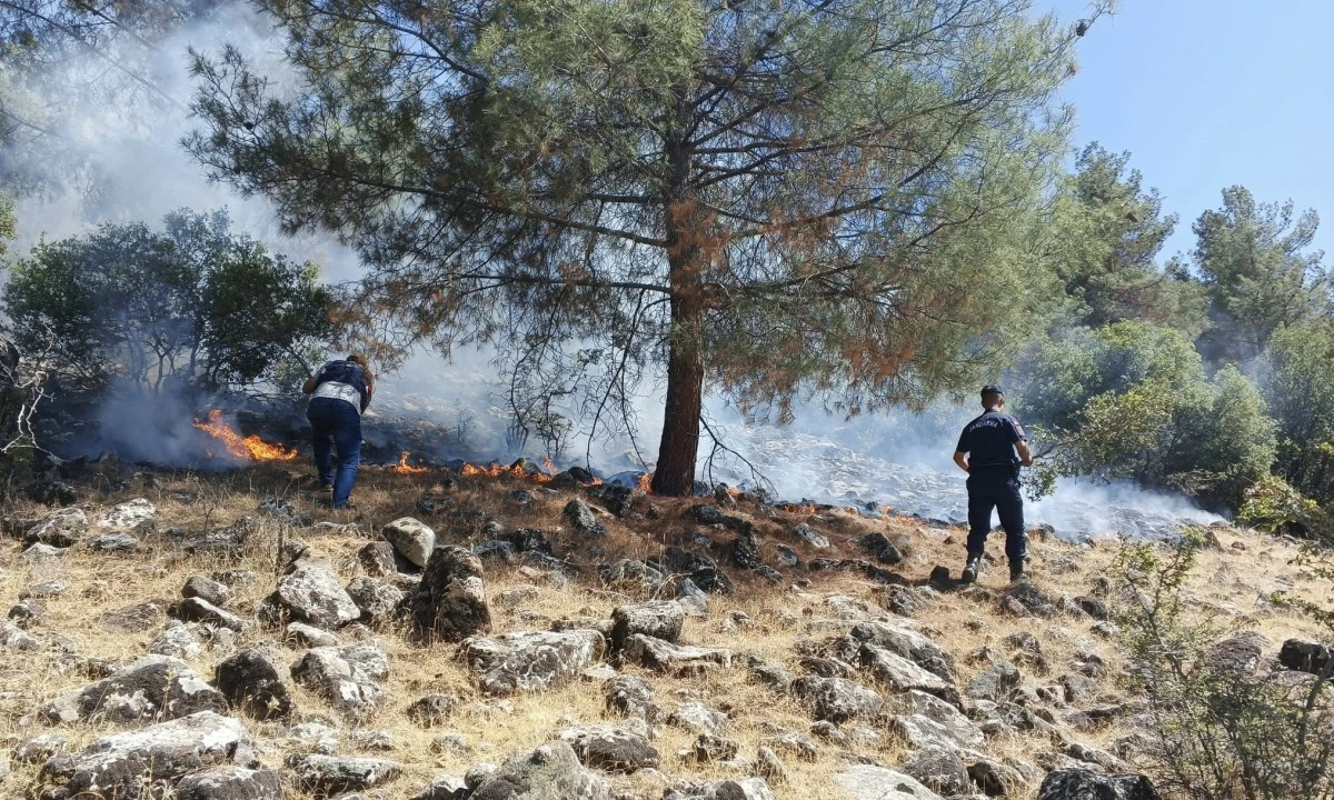 Pazarcık’ta Orman Yangını Jandarma Devriyesi Sayesinde Büyümeden Söndürüldü