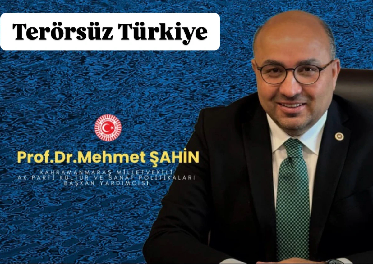 Prof. Dr. Mehmet Şahin’den “Terörsüz Türkiye” Vurgusu: “Rahatsız Olanlar Harekete Geçti”