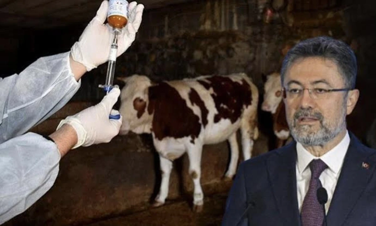 Tarım ve Orman Bakanlığı’ndan Şap Hastalığına İlişkin Açıklama