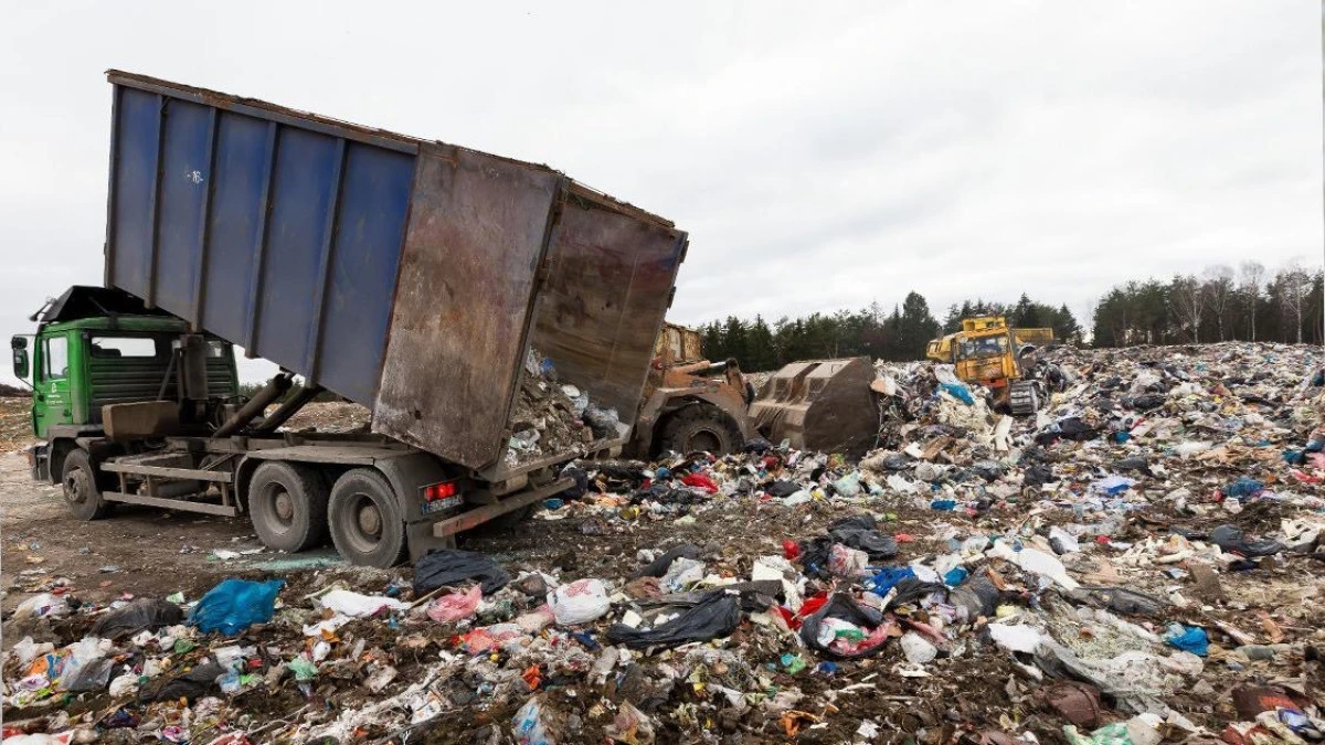 TEMA Vakfı’ndan Dünya Çevre Günü Mesajı: “Plastik Kirliliğine Son Ver, Yaşamı Koru!”