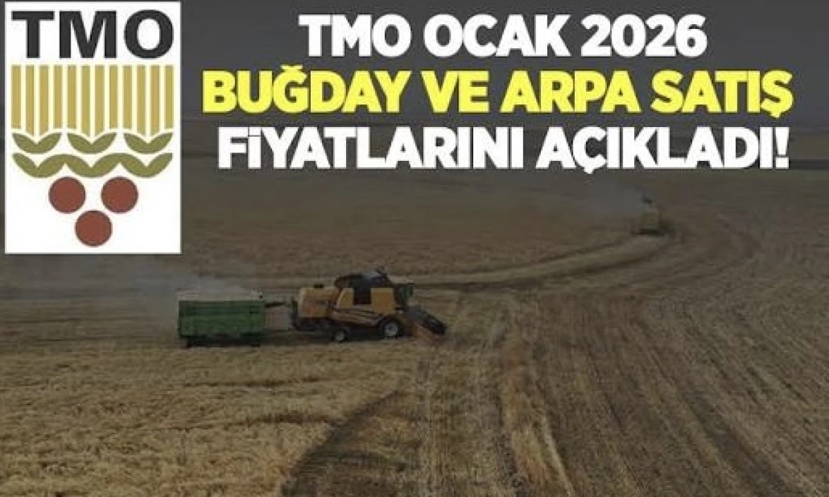 TMO 2026 yılı hububat alım ve satış fiyatlarını a&ccedil;ıkladı