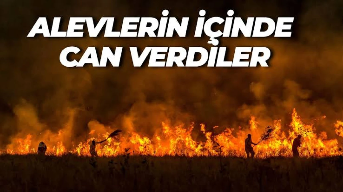 Yangın faciası: 10 orman işçisi şehit oldu 14 yaralı var