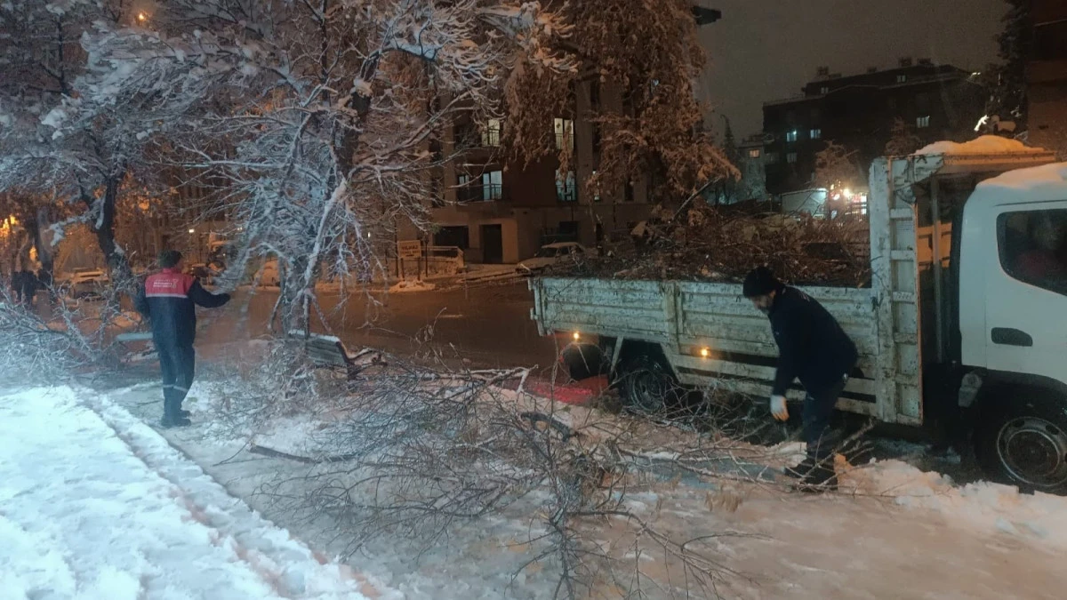 Yoğun Kar Yağışıyla Kırılan Ağa&ccedil; Dallarına Hızlı M&uuml;dahale
